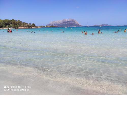 Grazioso bilocale a PORTO ROTONDO