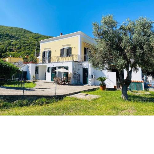 Grazioso MONOLOCALE nella villa NOLELU