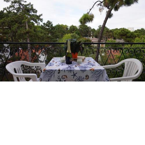 Great Apartment in Villa with a nice Terrace