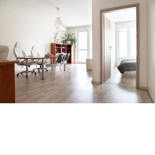 Great tourist and business Apartment near center