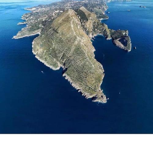 Green Apartment in Sorrento coast