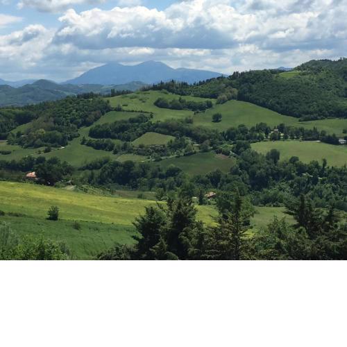 Green B&B Urbino Cá del vento