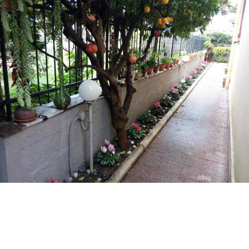 Green Garden