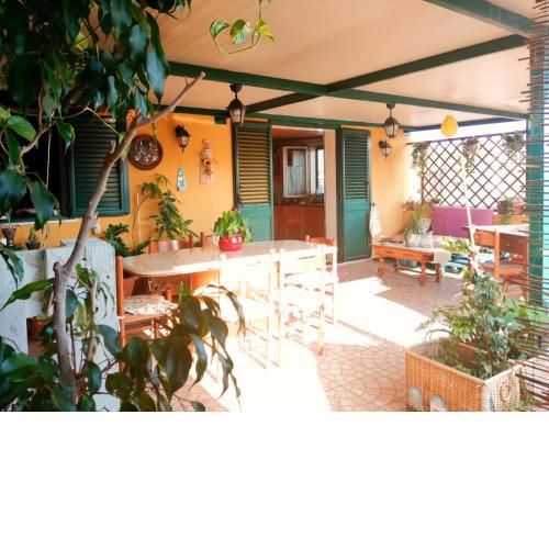 Green House