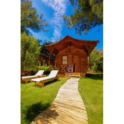 Green Pine Bungalows & Beach Luxury Concept