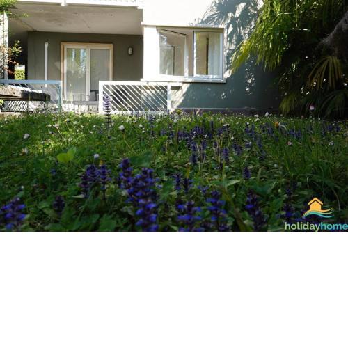 Green relax apartment