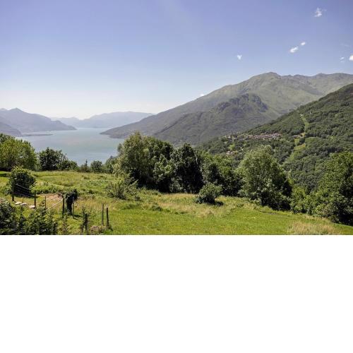 Green Valley At Lake Como