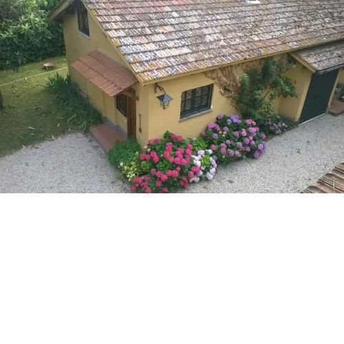 Green Wild Suite Flaminia Nuova - free park