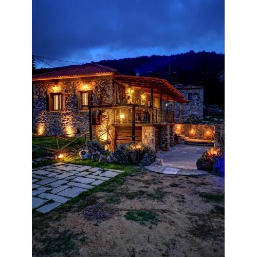 Green's House