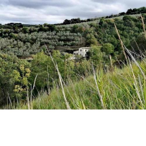 GROTTE DI TUFO,VILLINO RURALE