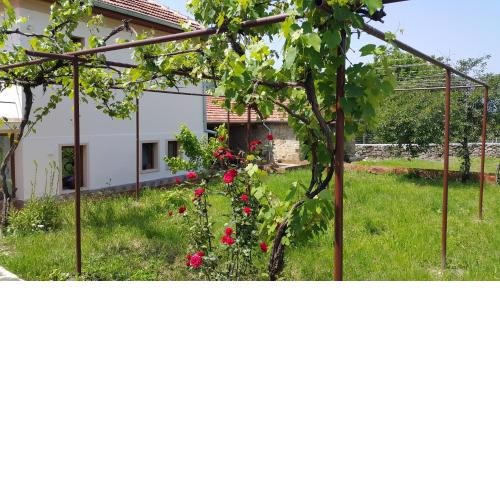 Guest House Art Eco Land