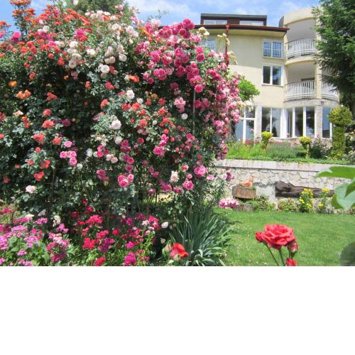 Guest house Bankya