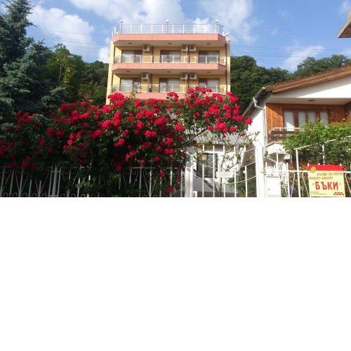 Guest House Bucky