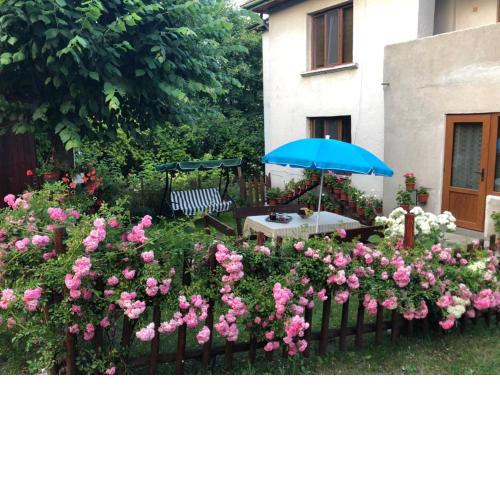 Guest house Emmy