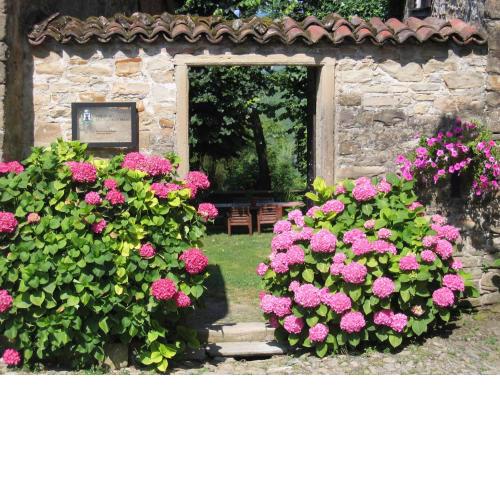 Guest house Gentile in Tagliolo Monferrato with garden and barbecue