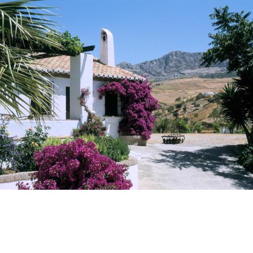 Guest house in a traditional Andalusian country estate