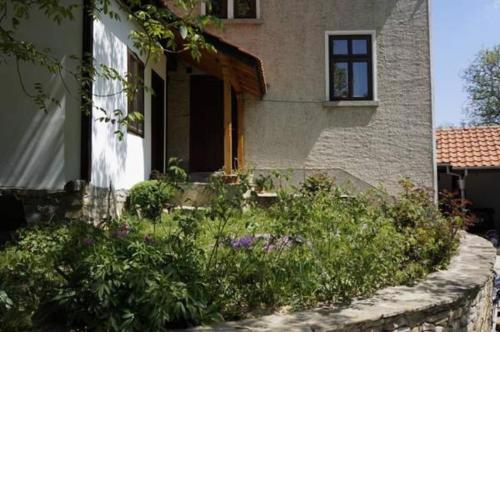 Guest House Pepeliana