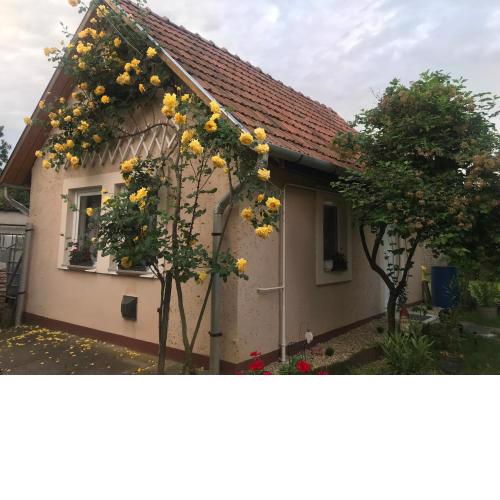 Guest House Rózsakert