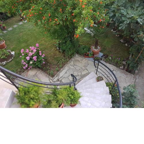 Guest House Veselina