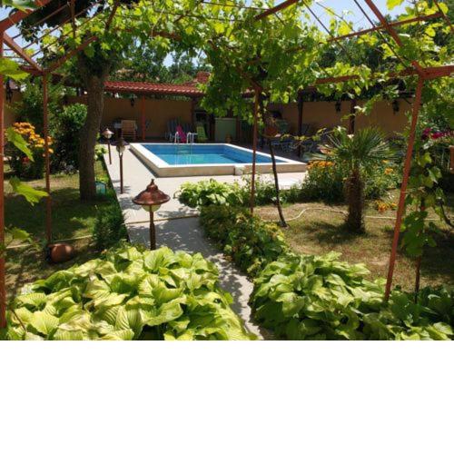 Guest House Yavorov