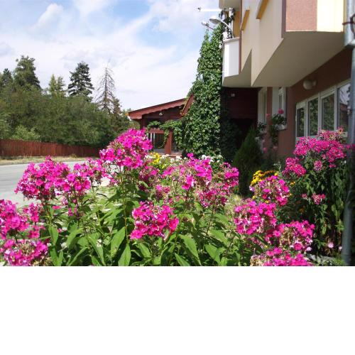 Guest House Zodiac