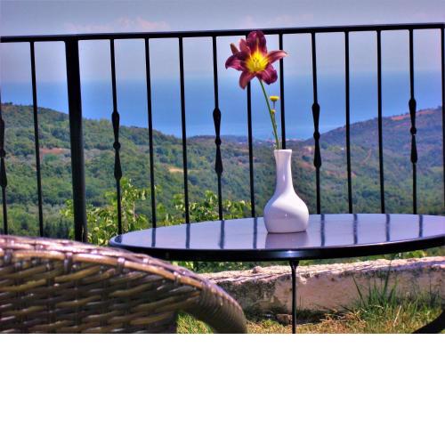Guesthouse Amanitis Caesarea