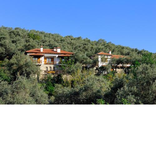 Guesthouse Apanemia