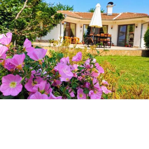 Guesthouse Oasis-Shabla
