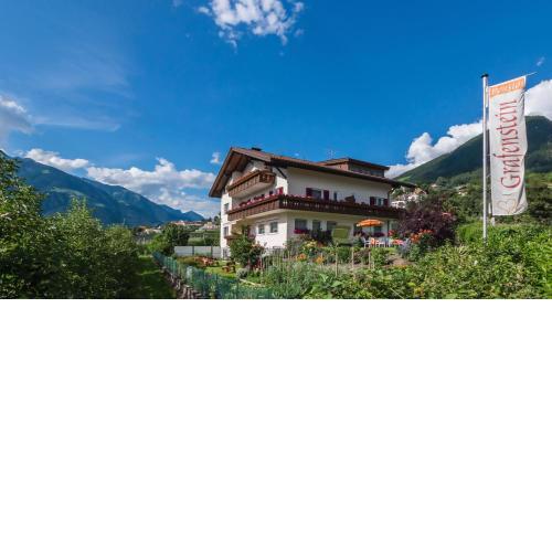 Guesthouse Pension Grafenstein