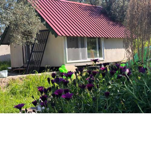 Gunes tatil köyü