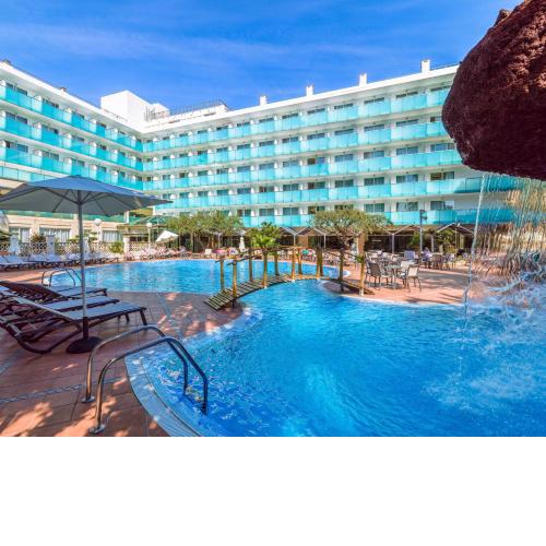 H10 Delfín - Adults Only