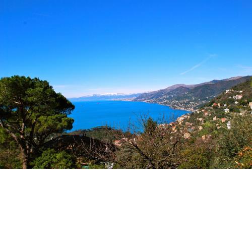 H2.0 Portofino