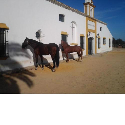 Hacienda La Indiana