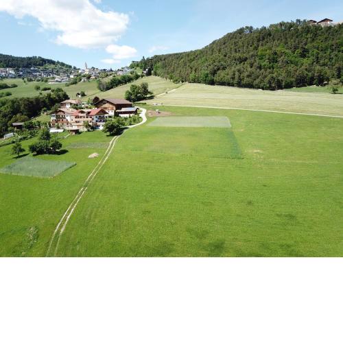 Haflingerhof