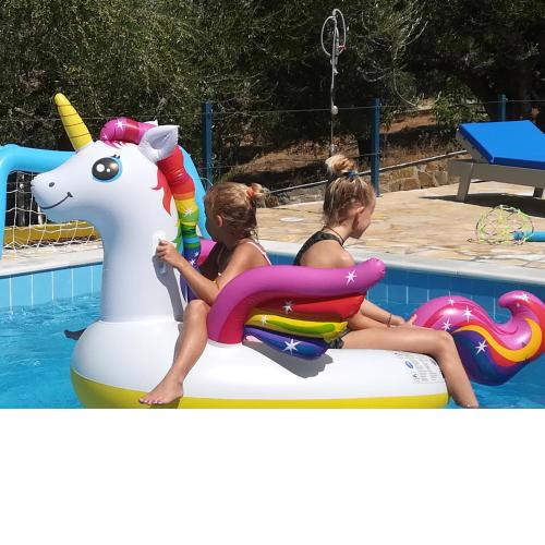 Hakuna Matata Holidays 'Agalia' with pool in Greek Olive Grove