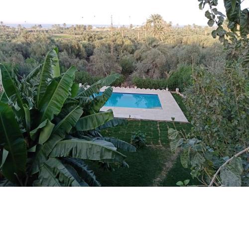 Haneen Field View