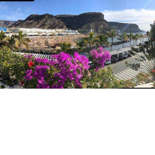 Harbour 374 with private roof terrace in Puerto de Mogan