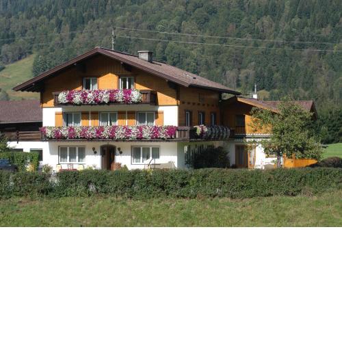 Haus Dachstein Schnitzer