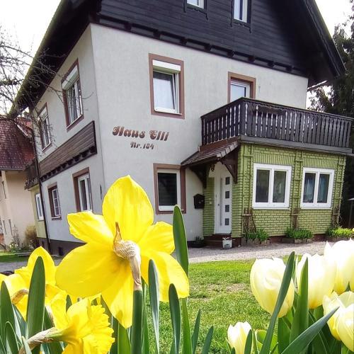 Haus Elli
