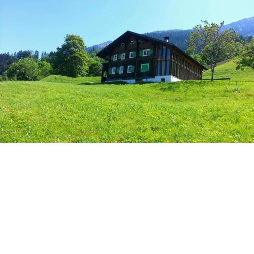Haus Holzwurm