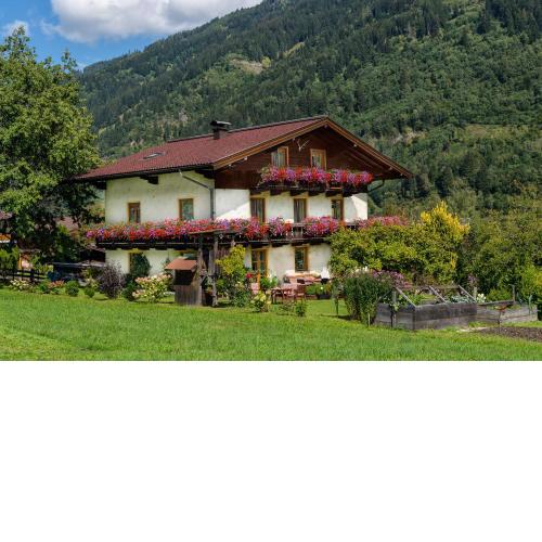 Haus Knapp 4er Wohnung