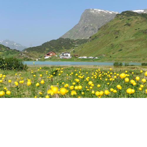 Haus Zeinissee