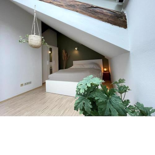 Helles Apartment im Zentrum