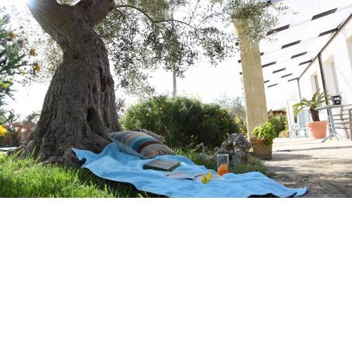 HelloApulia Dimora Lamioni