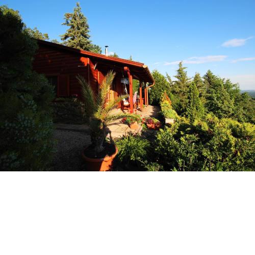 Hilltop Hideout