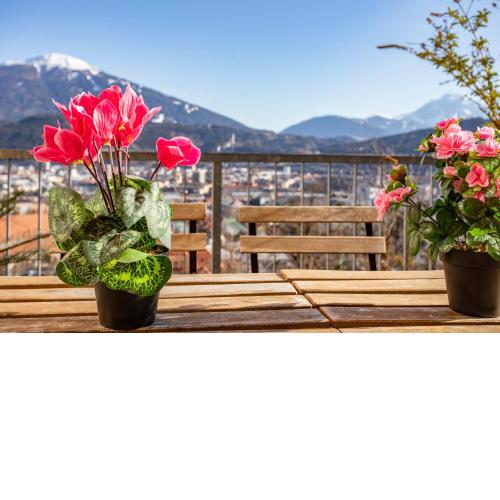 Hilltop Innsbruck Apartment I free parking