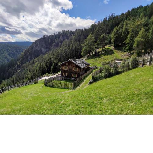 Hirschhof Pfrein - Hideaway