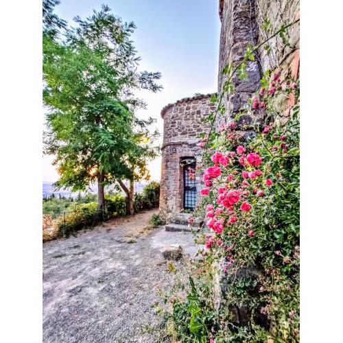 Historic 14th Century Palazzo apartments