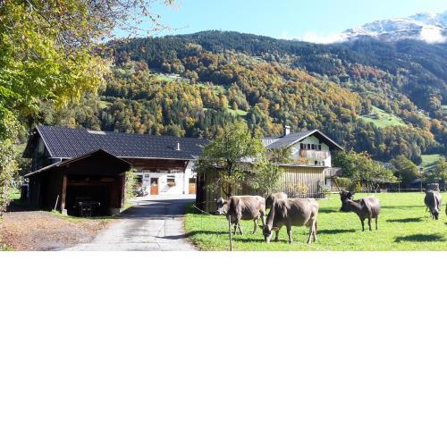 Hof im Feld