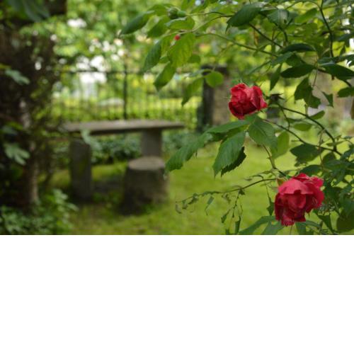Holiday apartment Il giardino di Elena